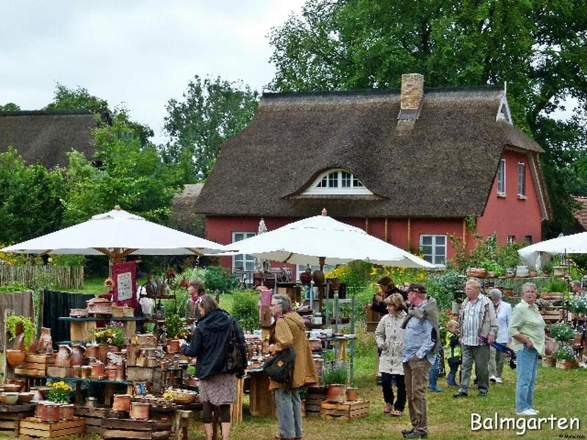 "Balmgarten" Im Naturpark Usedom, Bio Solarhaus Mit Grossem Garten Eksteriør bilde
